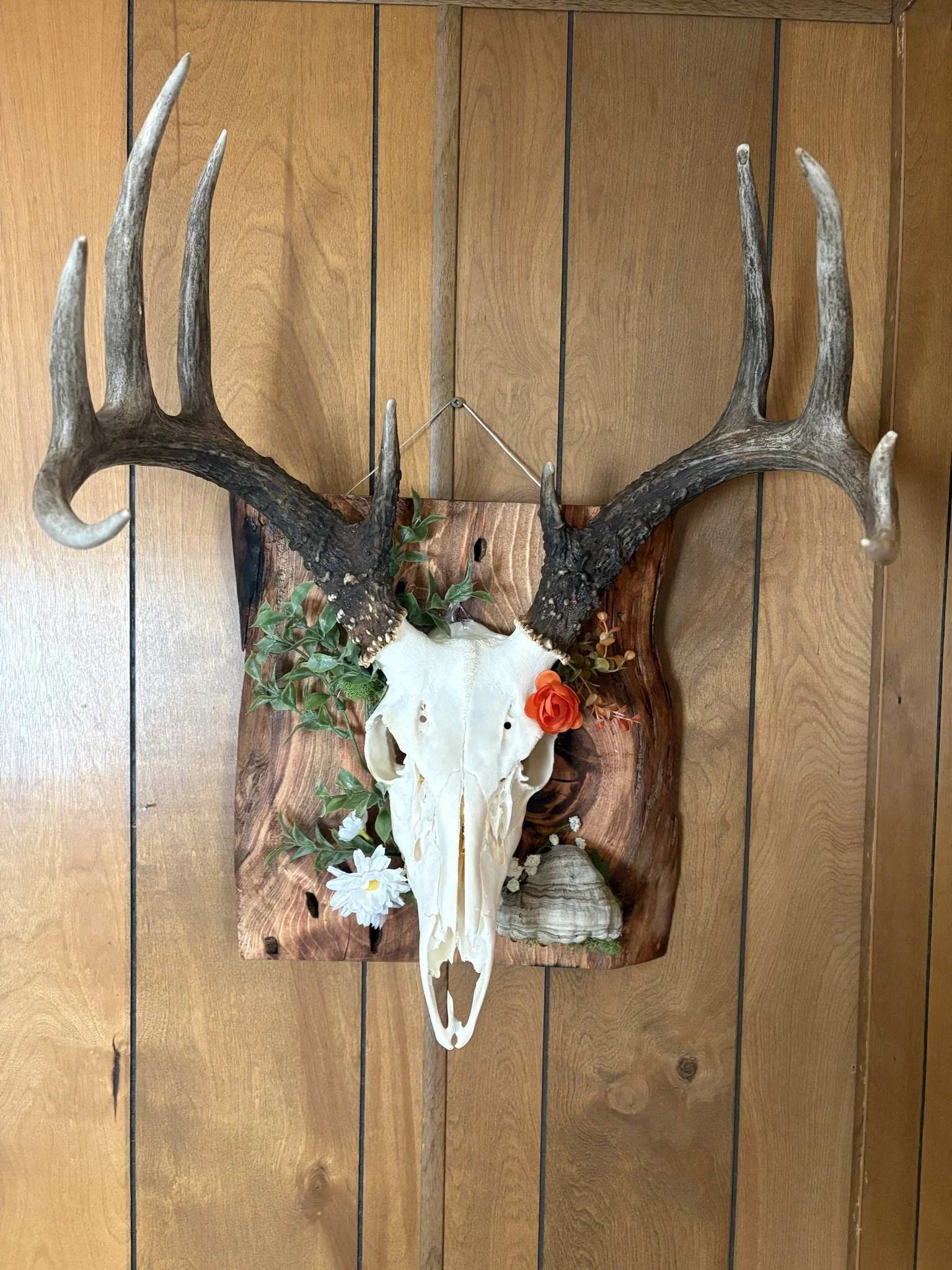 A mounted deer skull with antlers, decorated with green leaves, white flowers, an orange flower, and a tree mushroom, on a wooden background