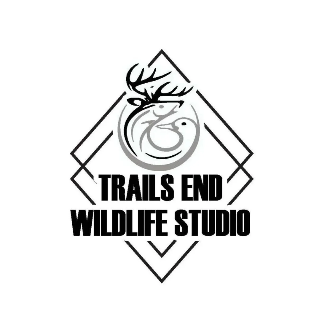 Trails End Wildlife Studio 