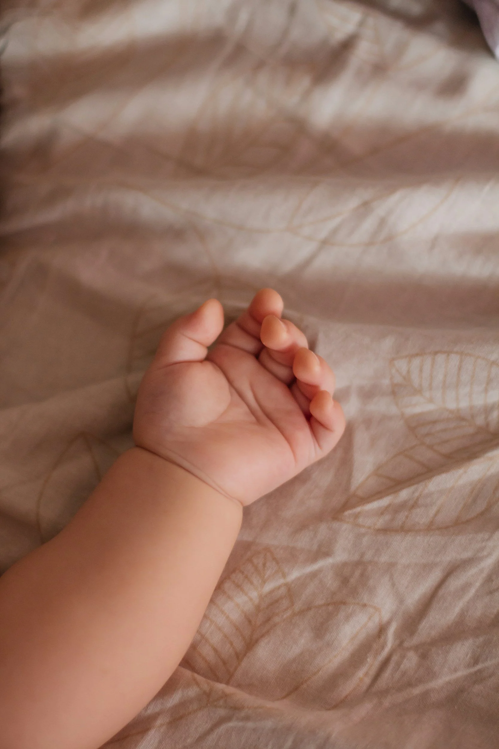 Sleeping child, peaceful and gentle in sleep