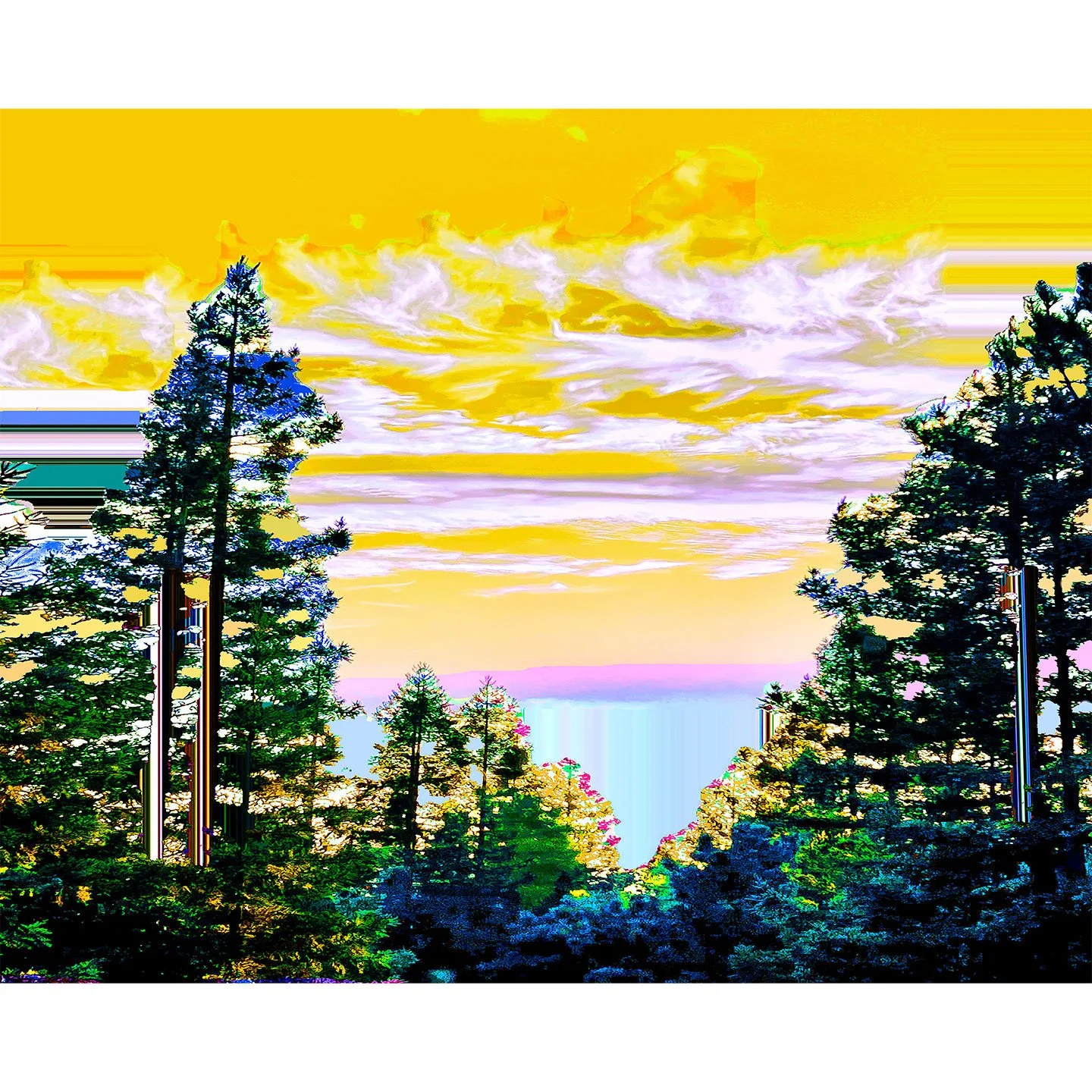 in-the-trees-2026-karen-olsen-dunn-original-painting.jpg