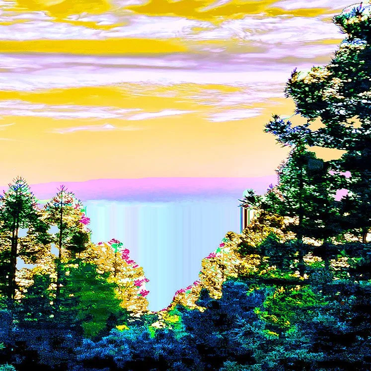 in-the-trees-details-2026-karen-olsen-dunn-original-painting.jpg