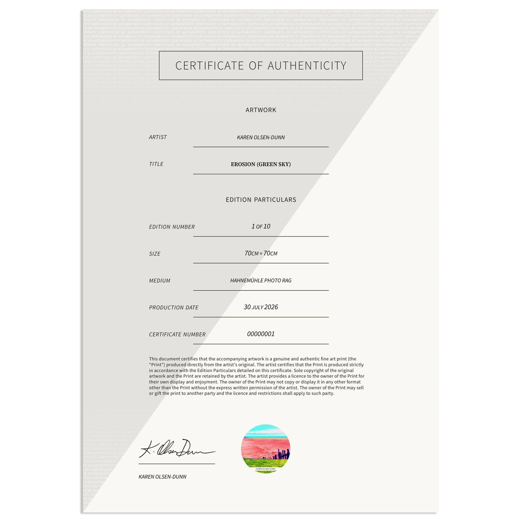 karen-olsen-dunn-erosion-green-sky-certificate-of-authenticity.jpg