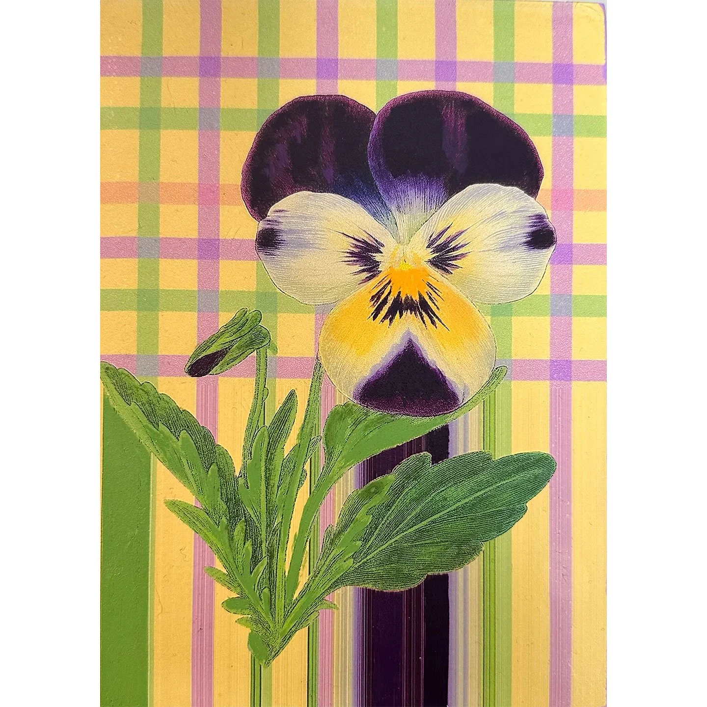 pansy-on-plaid-2026-karen-olsen-dunn-original-painting.jpg