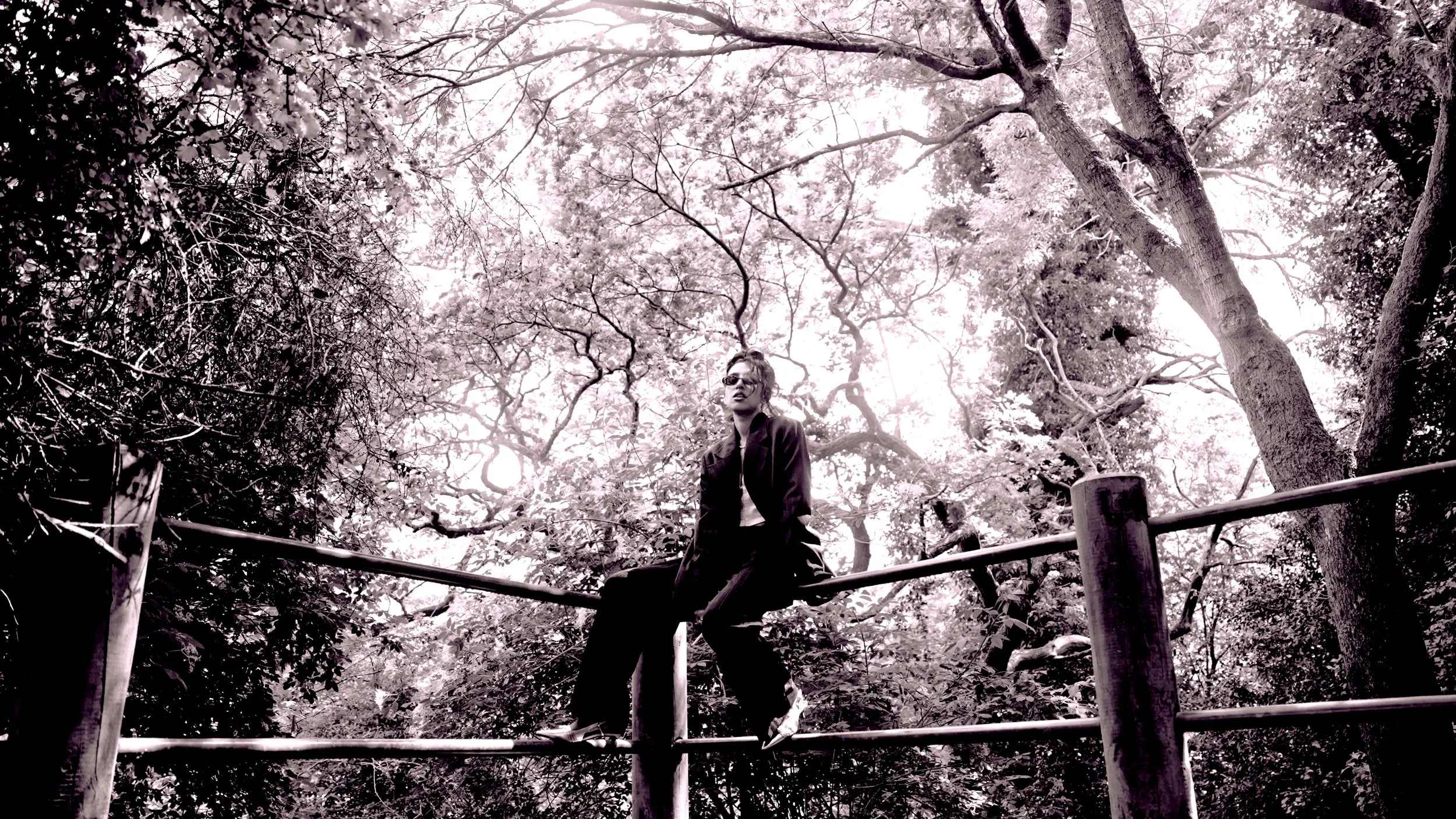 A woman wearing a jacket and sunglasses sitting on a wooden fence in a forested area with trees and dense foliage.