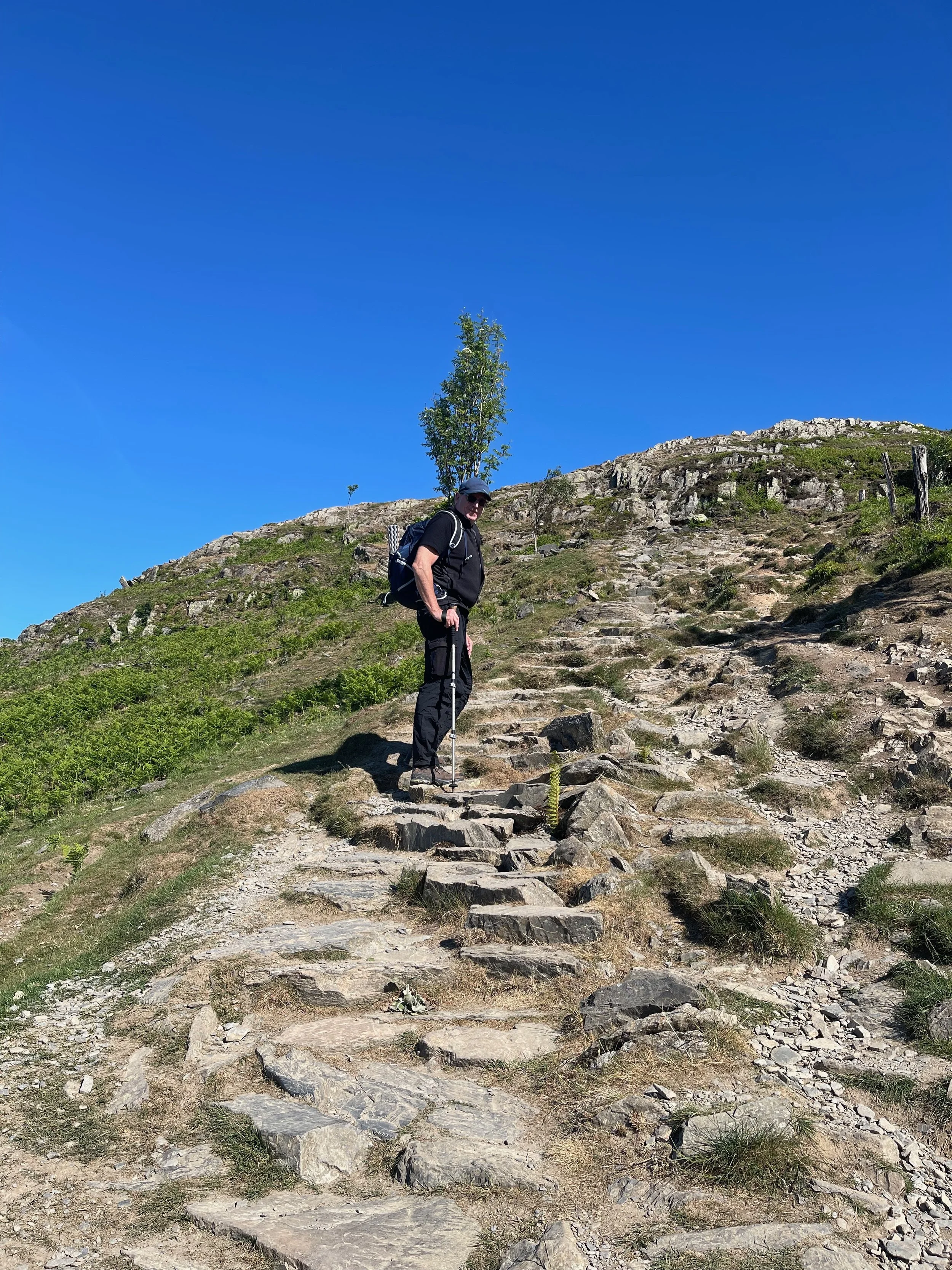 A Digital Sherpa Can Steady Your Step — and Spare You a Great Deal of Pain