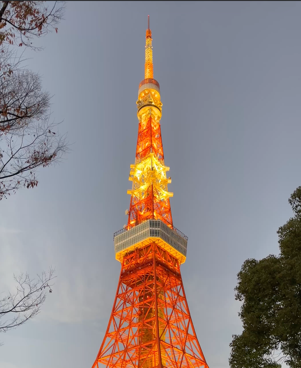 The Tokyo Tower illuminated in orange and yellow lights against a darkening sky, with tree branches on the sides.