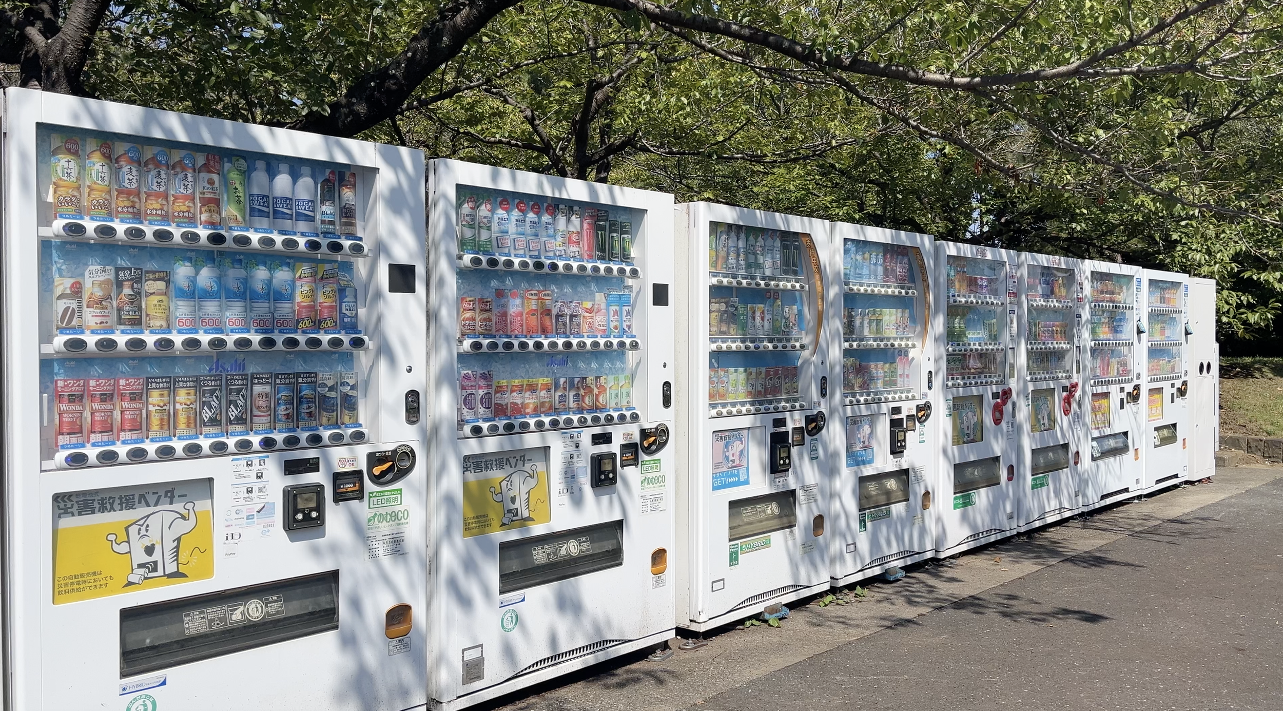 Convenience Stores