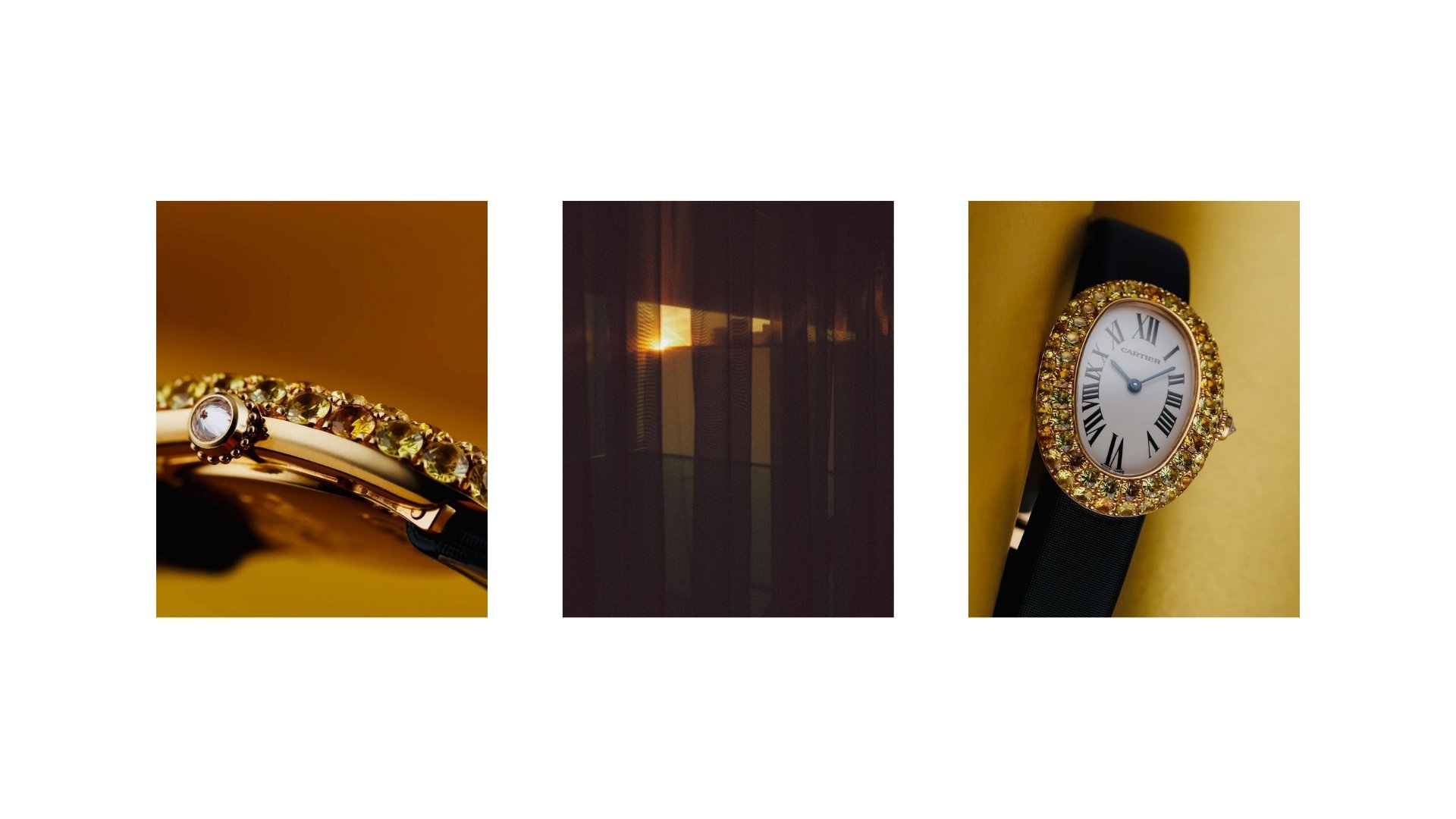 Social Art Direction (Watch Collectors)