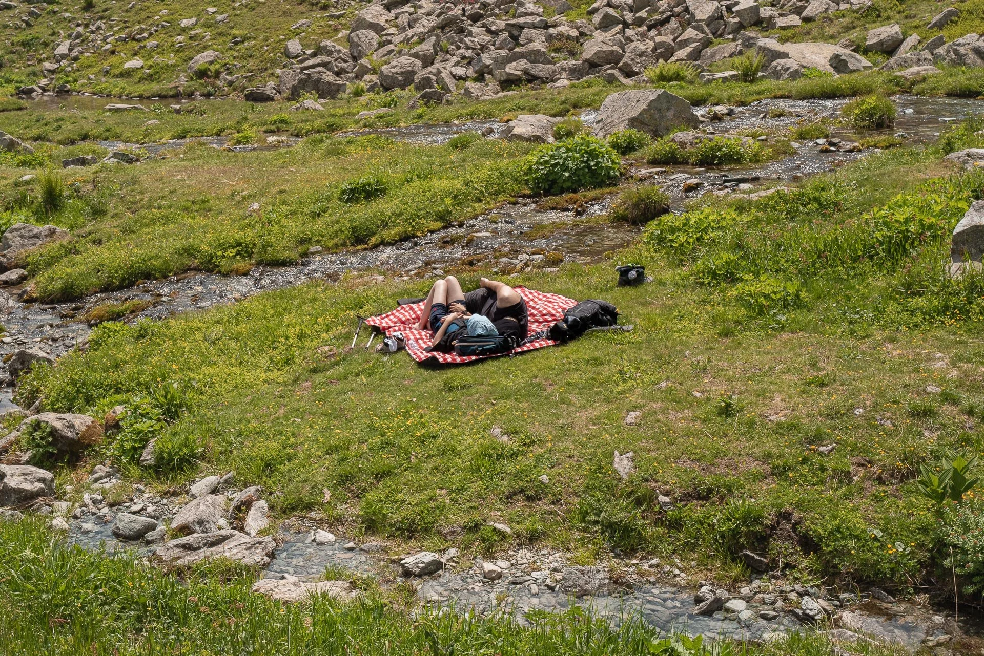 L1033035.JPG