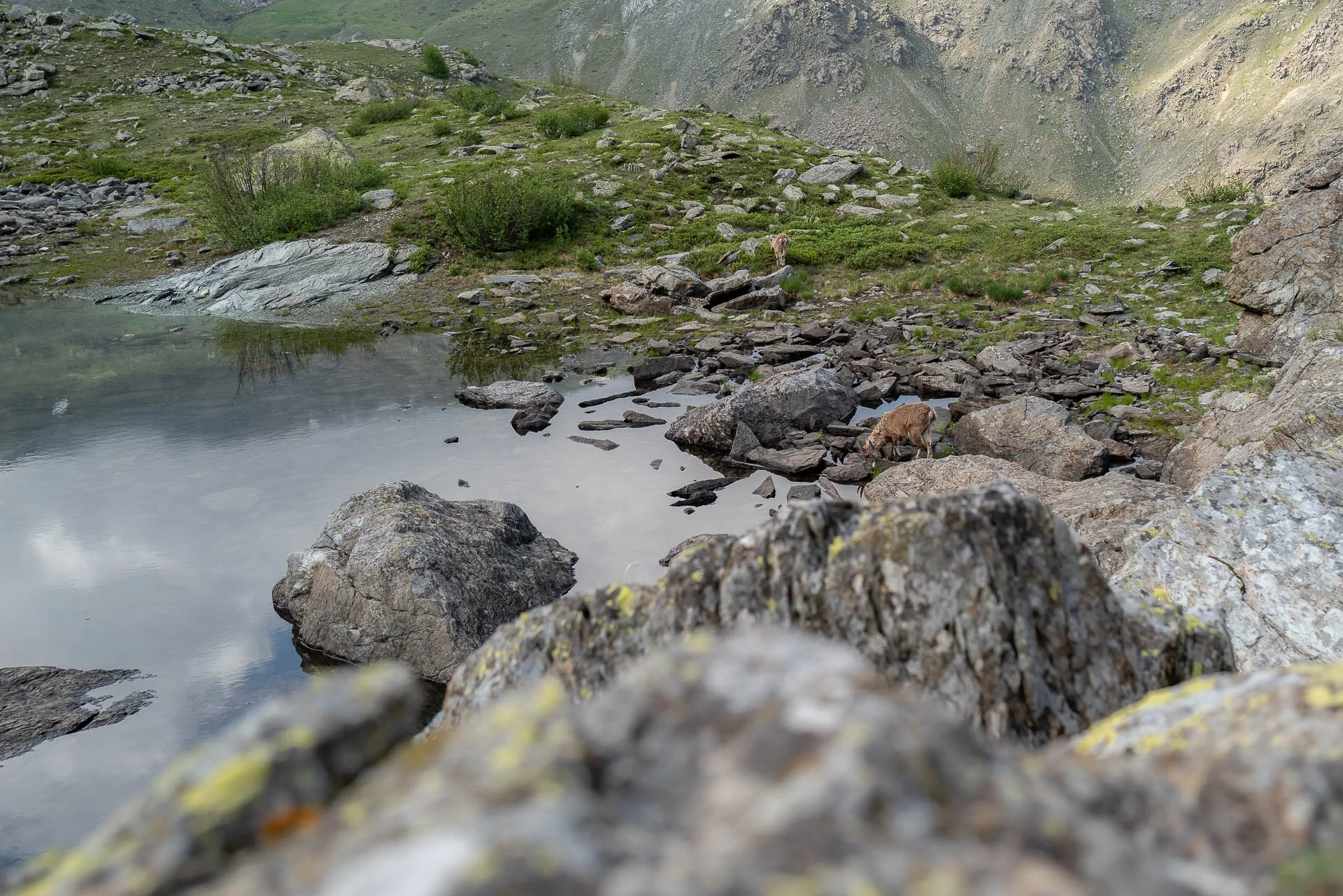 L1032833.JPG