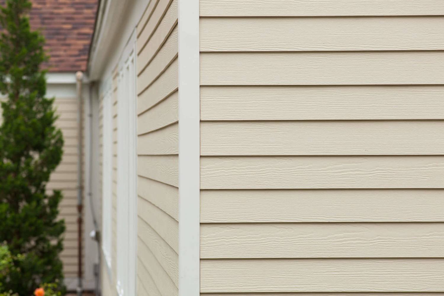 Close-up of beige vinyl siding on the exterior of a house with a white vertical trim and a blurred green plant on the side.