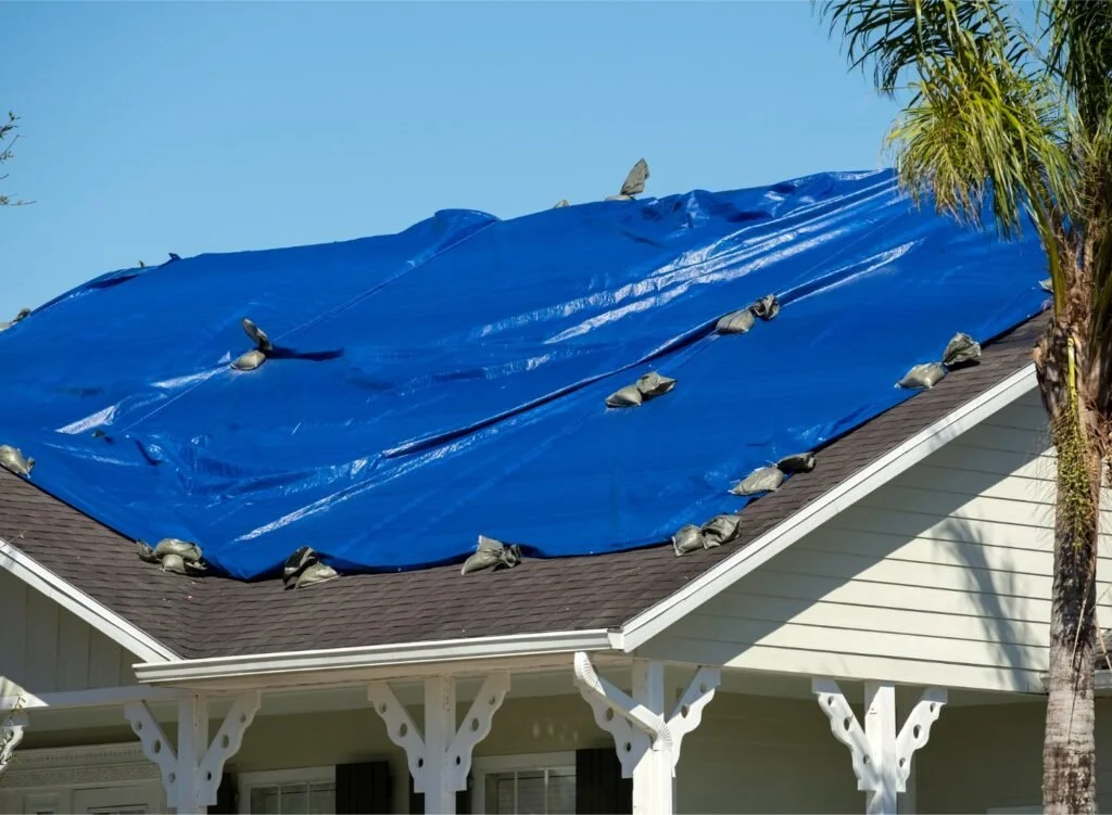 A house roof covered with a large blue tarp secured with rocks and sandbags. There is a palm tree on the right side and clear blue sky in the background.