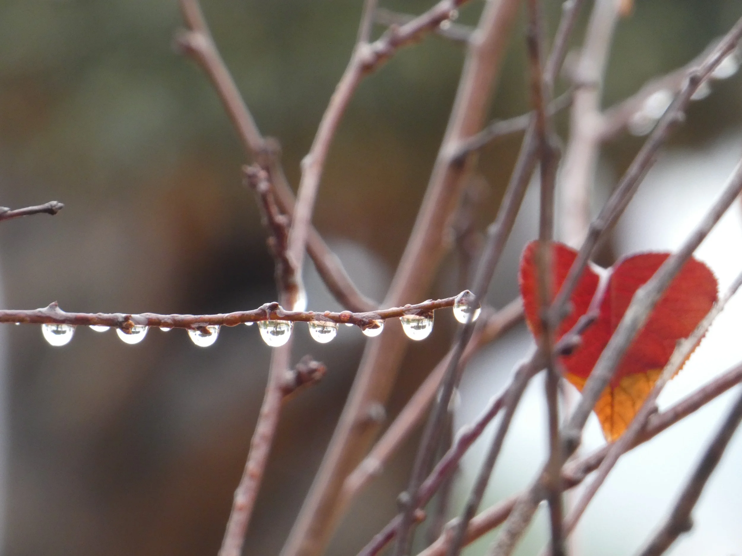 DESPUES DEL AMOR