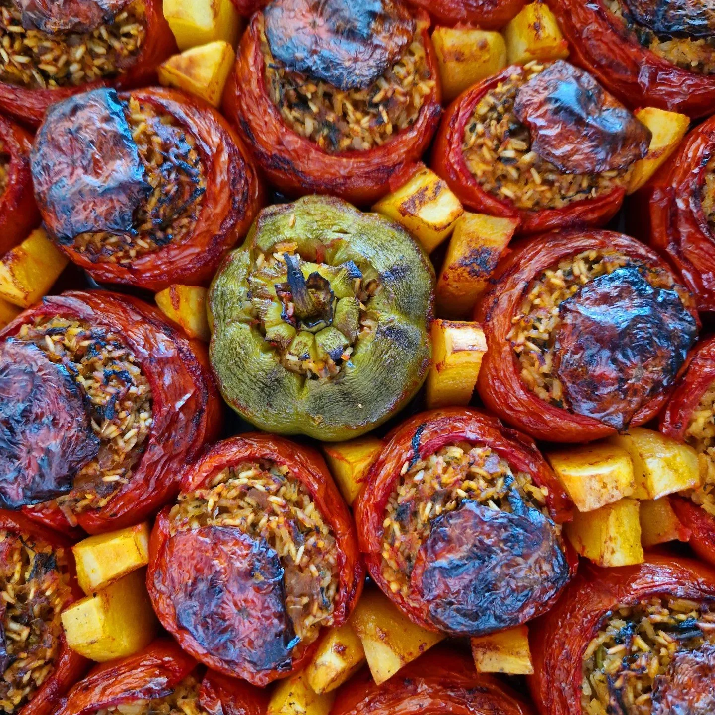 Stuffed tomatoes with rice and herbs 