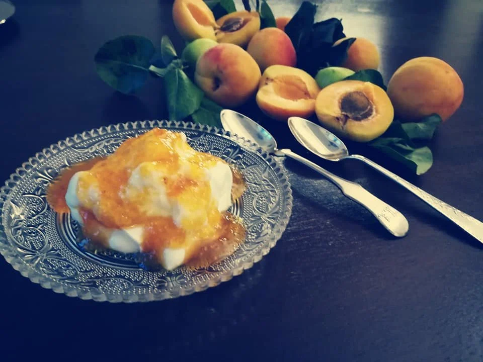Yoghurt with homemade apricot jam