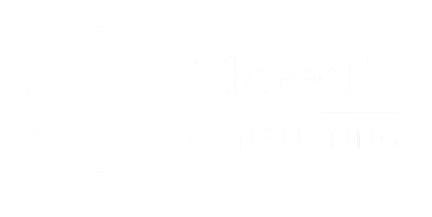 Three:13 Consulting