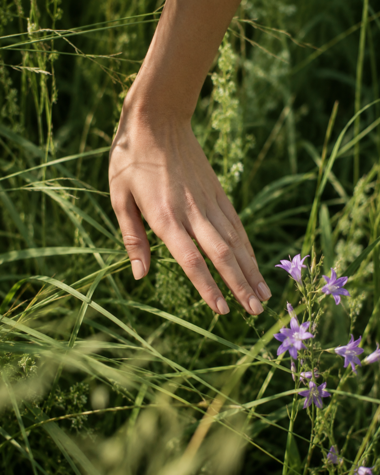 A hand gently reaching down to touch purple flowers in green grass and foliage.