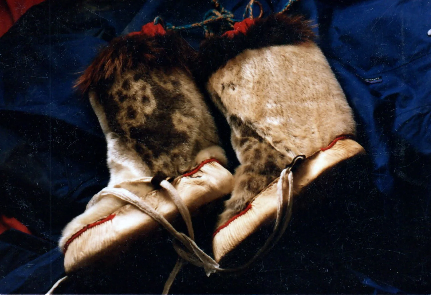 FastFoto_0140_a.jpg