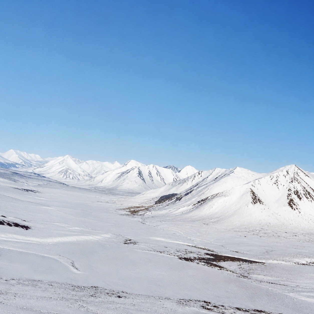 C89727AB-E06B-47F3-805F-DC718EFAF3F3.jpeg