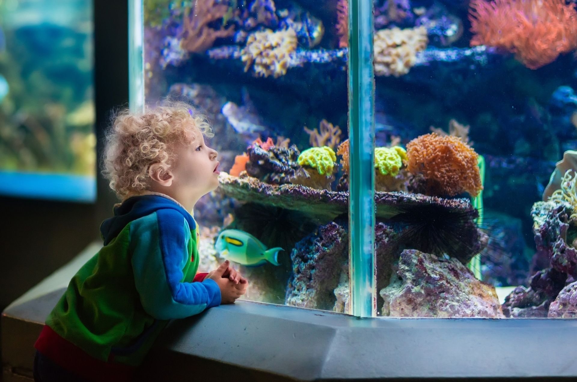 Rainy-Day Cape Town: The Best Indoor Things to Do With Kids
