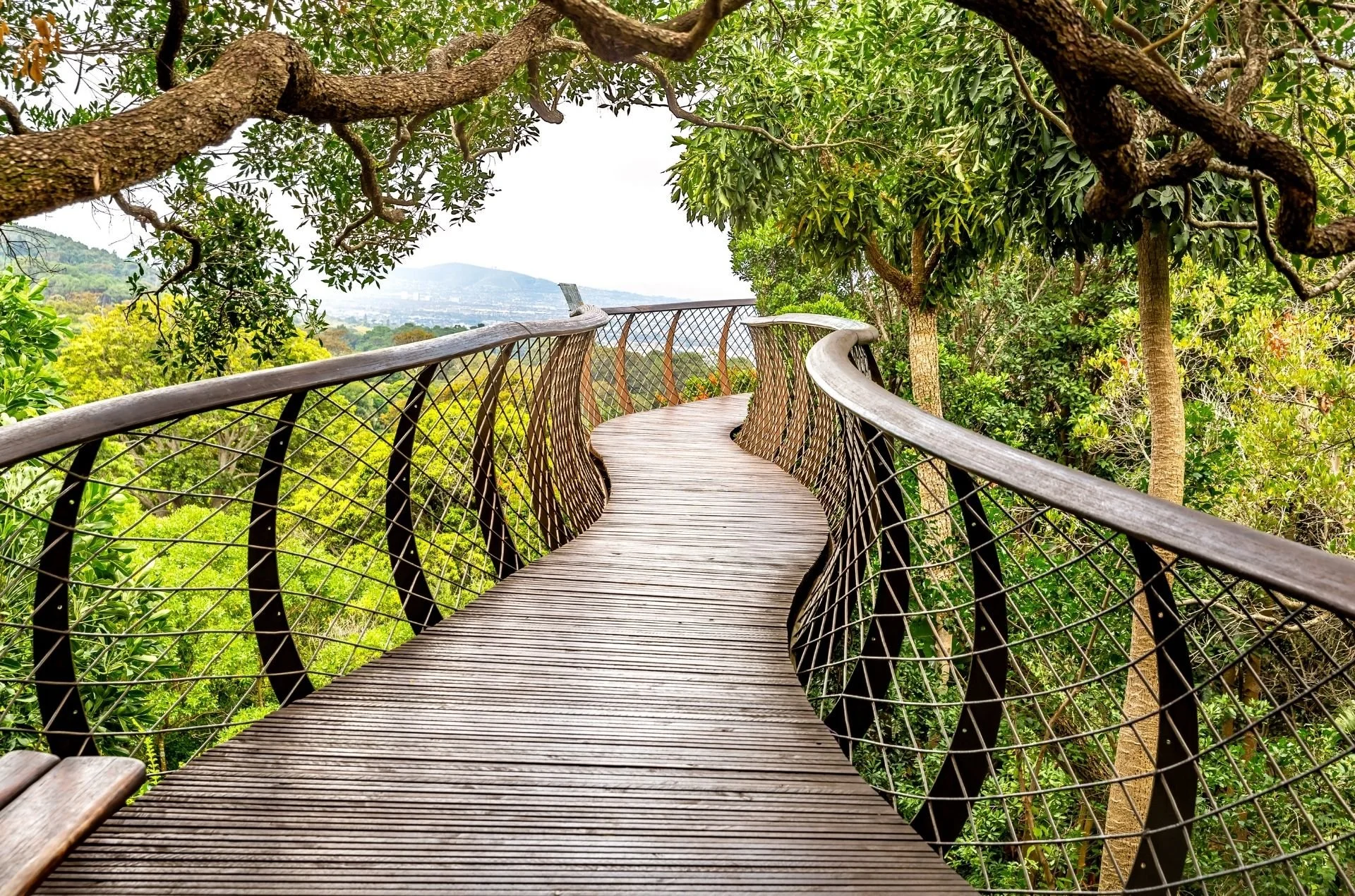 Day Trips From Cape Town the Whole Family Will Love
