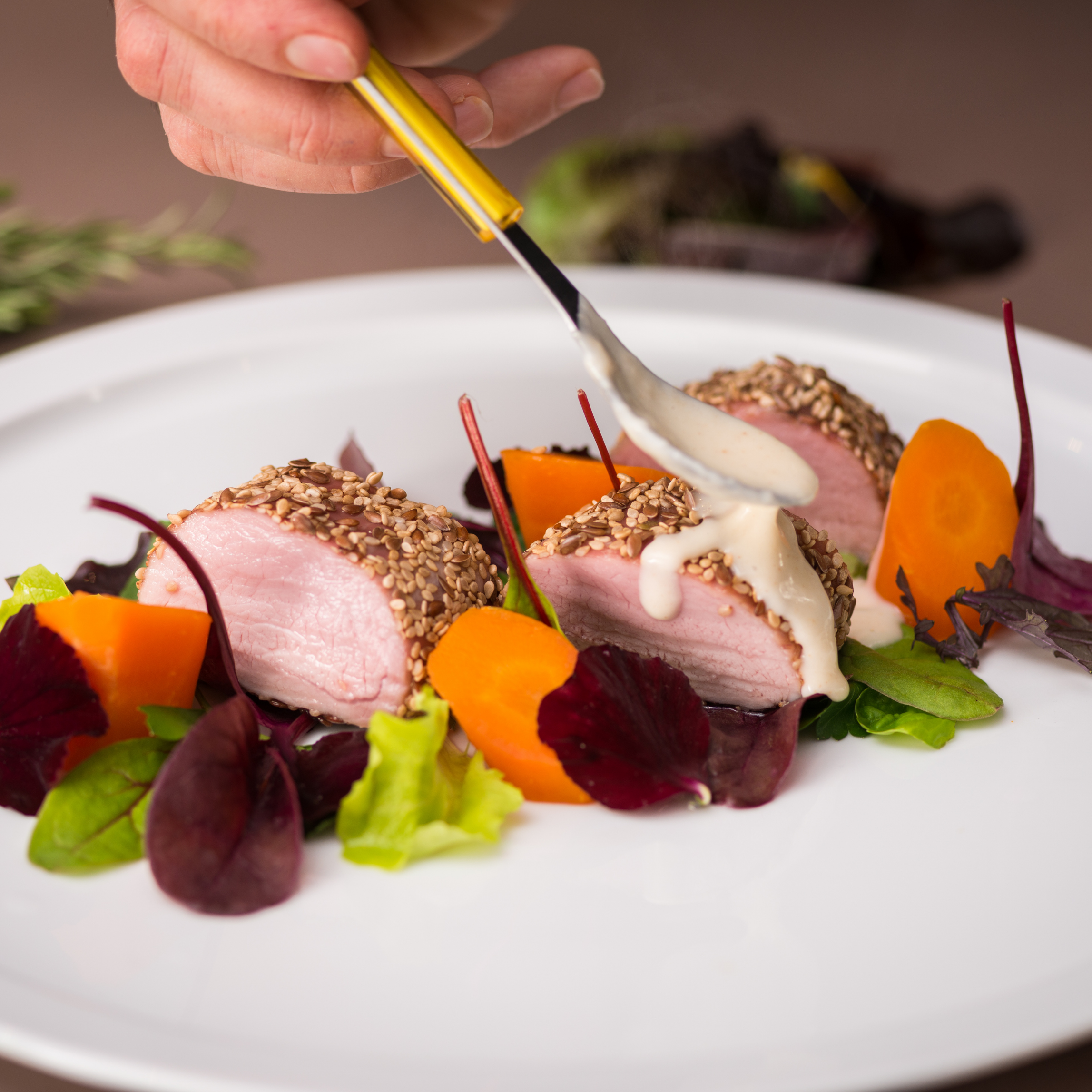 Close-up of a person using a small brush to apply a sauce or glaze on sliced meat, garnished with sesame seeds, on a white plate with colorful vegetables and greens, Moya private chef offering.