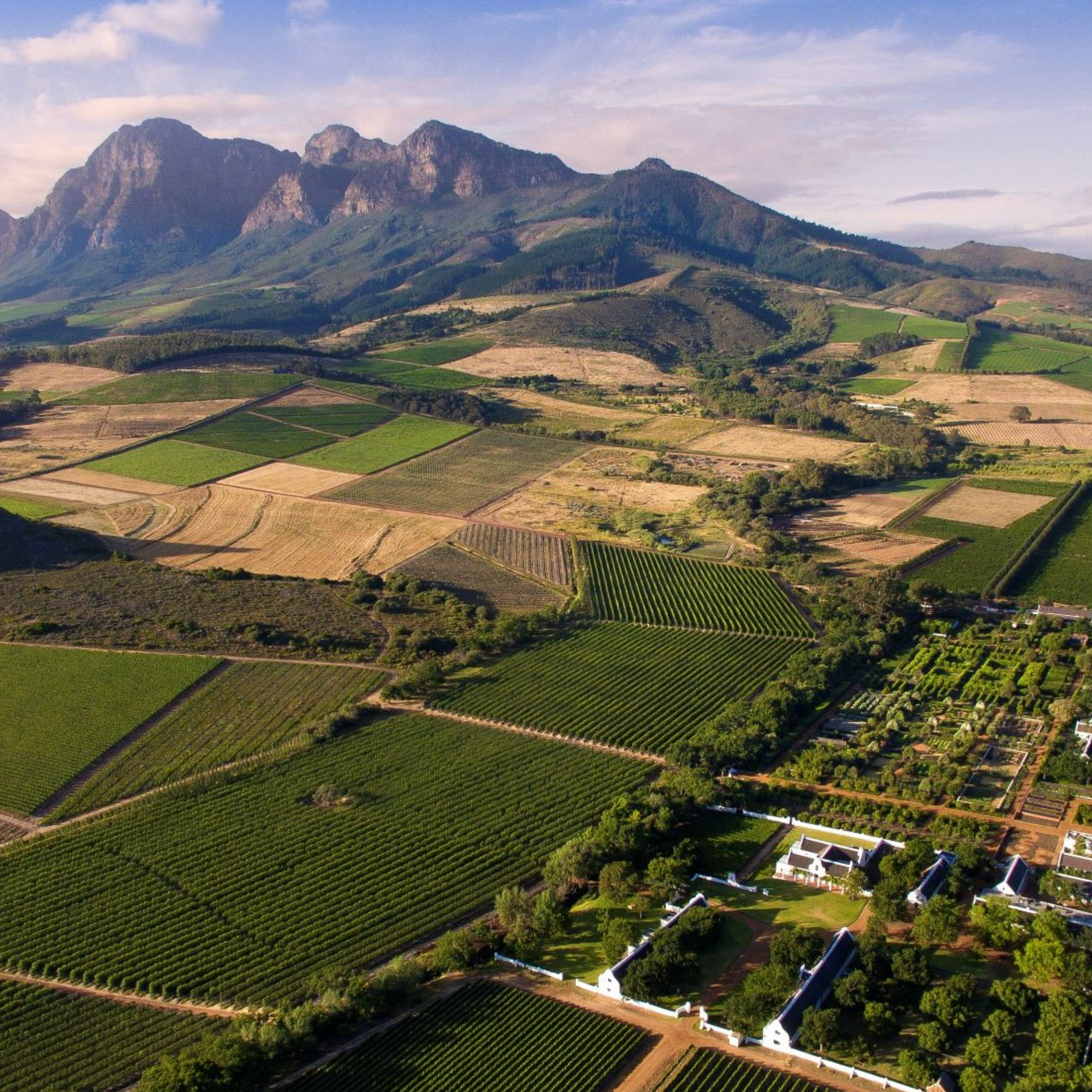 Aerial view of Constantia vineyards and mountains, Cape Town