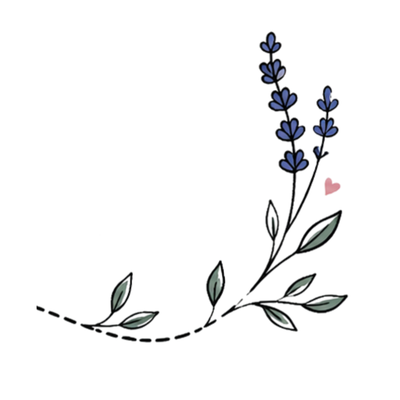 A delicate illustration of a lavender sprig with small purple flowers, green leaves, and a small pink heart beside it.