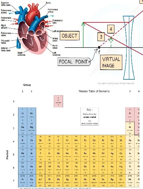 GCSE (Year 10 - 11)