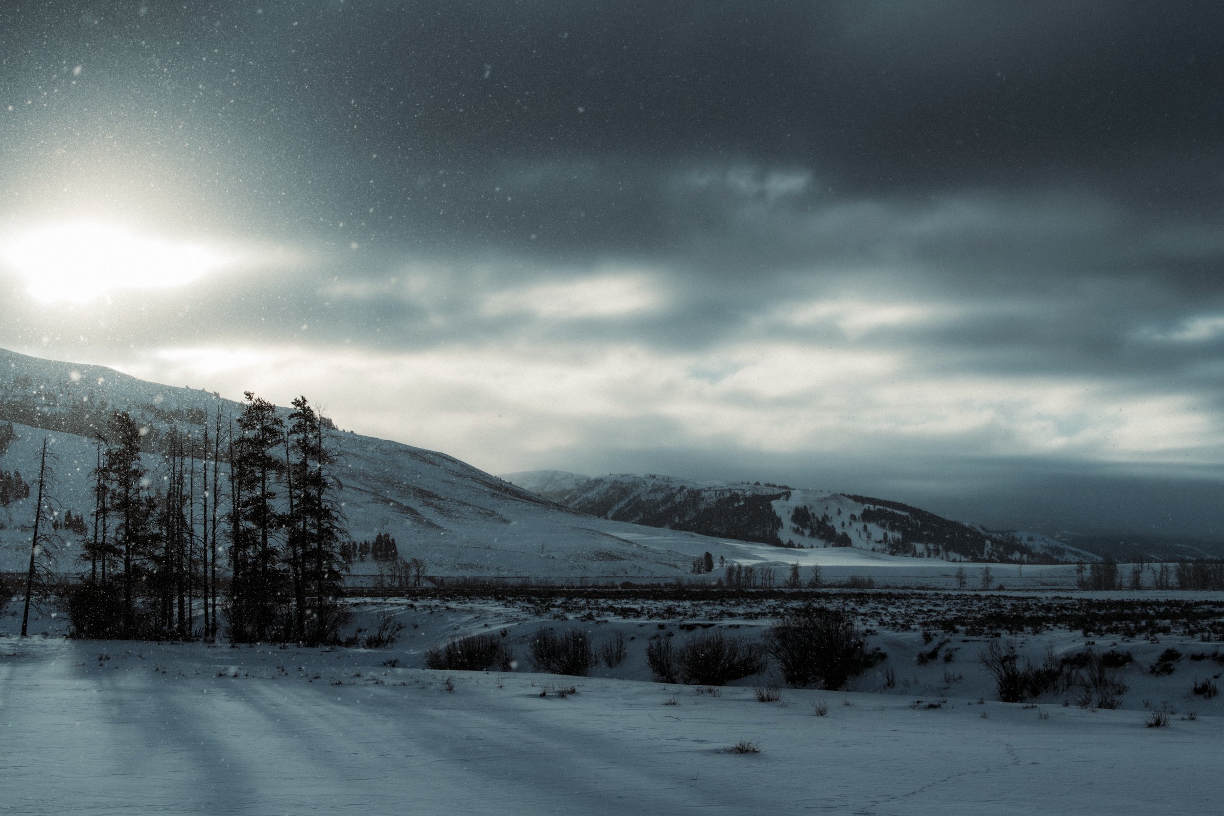 DSC_8778-Edit-Edit.jpg
