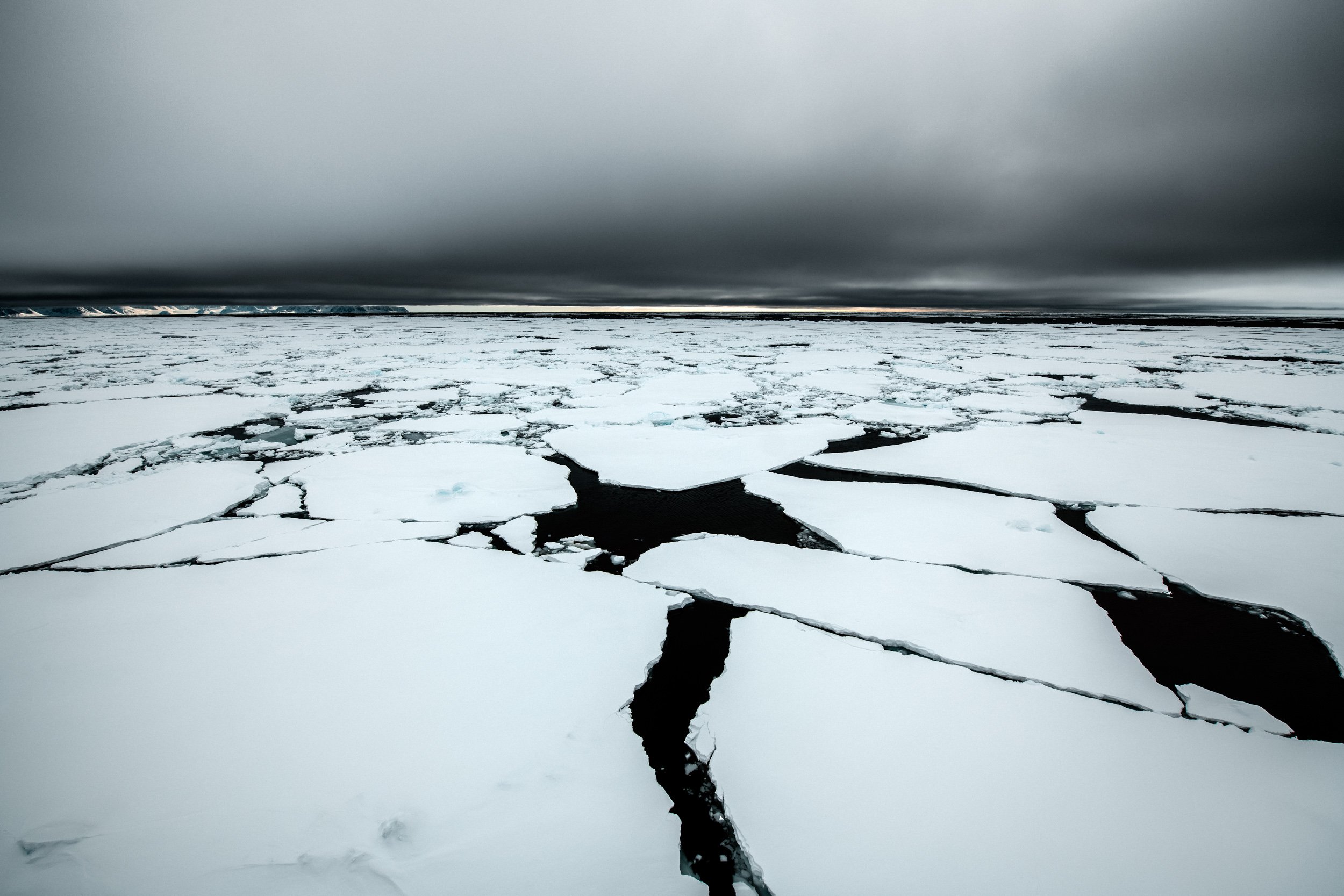 DSC_7138-Edit.jpg