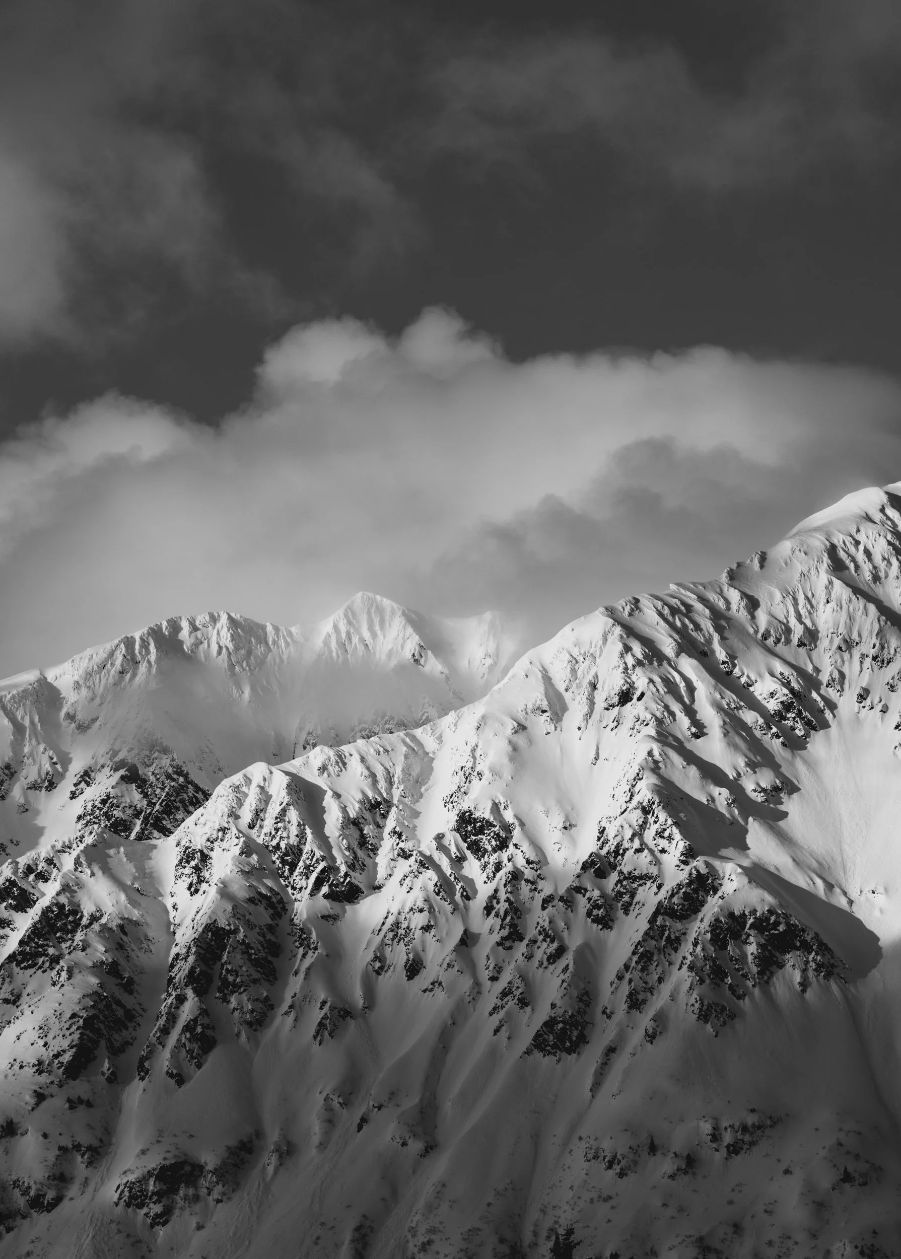 DSC_2648.jpg