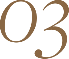 Legal advice and document review