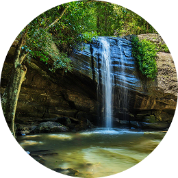 Buderim waterfall