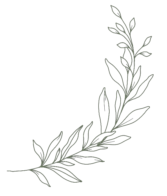 A line drawing of a sprig with leaves, curved in a semi-circle.