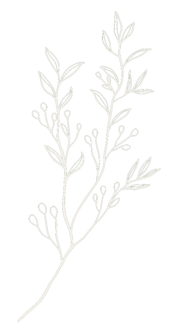 Amanda Orchard Therapy Design Icon White line drawing of a delicate leafy branch with small buds on a black background.