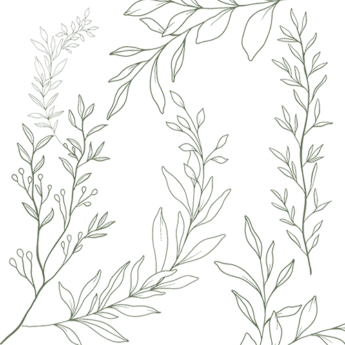 Amanda Orchard Therapy Design Icon Line drawings of various leafy branches on a black background.