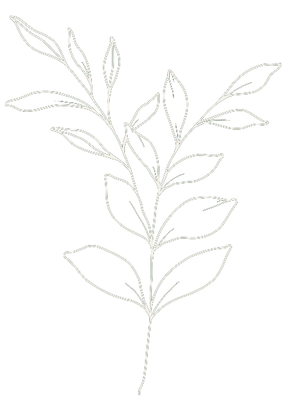 White outline of a leafy plant on a black background.