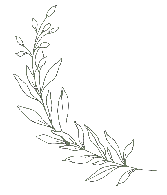 A simple line drawing of a leafy branch with multiple leaves on a black background.