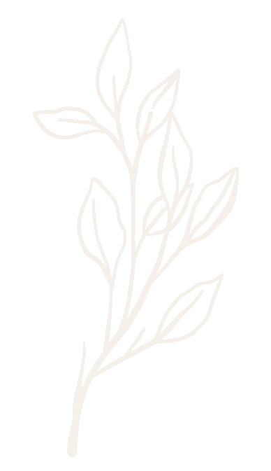 Amanda Orchard Therapy Design Icon Line drawing of a plant with leaves on a black background