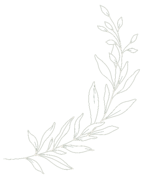 Amanda Orchard Therapy Design Icon Line drawing of a leafy plant branch with multiple leaves extending upward and to the right.