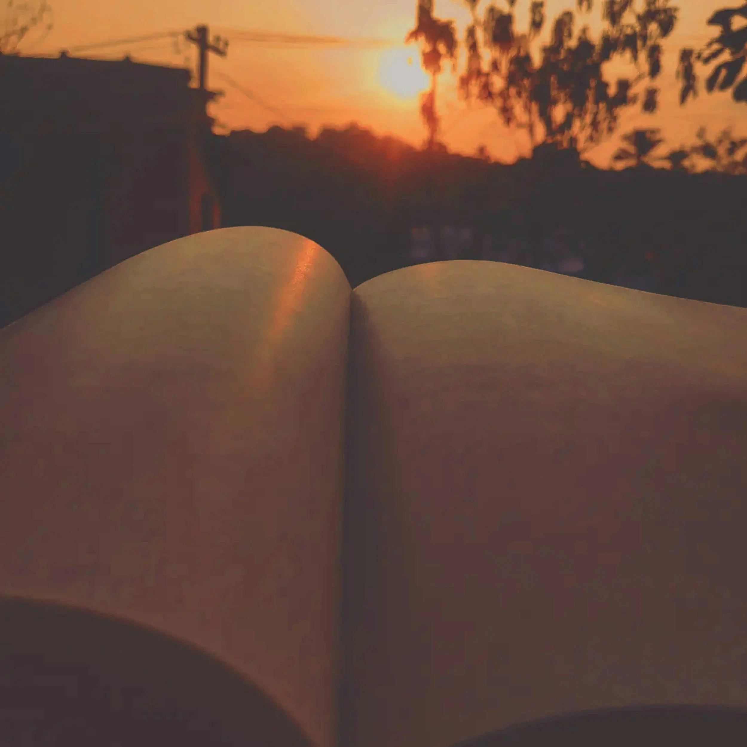 A sunset scene viewed through a window with a book open in the foreground. The sky is orange and yellow with silhouetted trees and power lines.