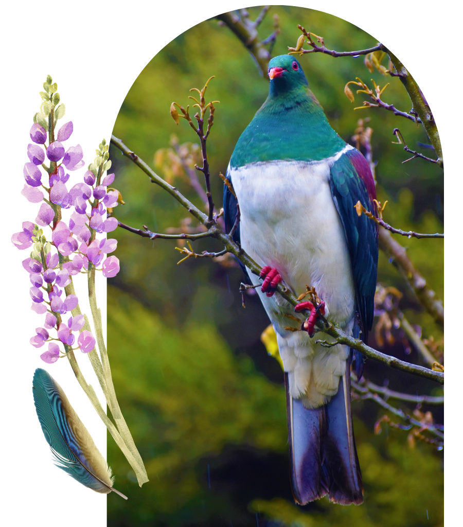 Photograph of a colorful bird perched on a tree branch, surrounded by budding leaves, with a blurred green background, and illustrated purple flowers and a feather on the left side of the image.