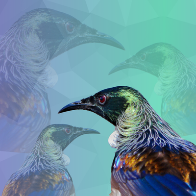 Multiple digital illustrations of a bird with vibrant, colorful feathers against a blue-green geometric background.