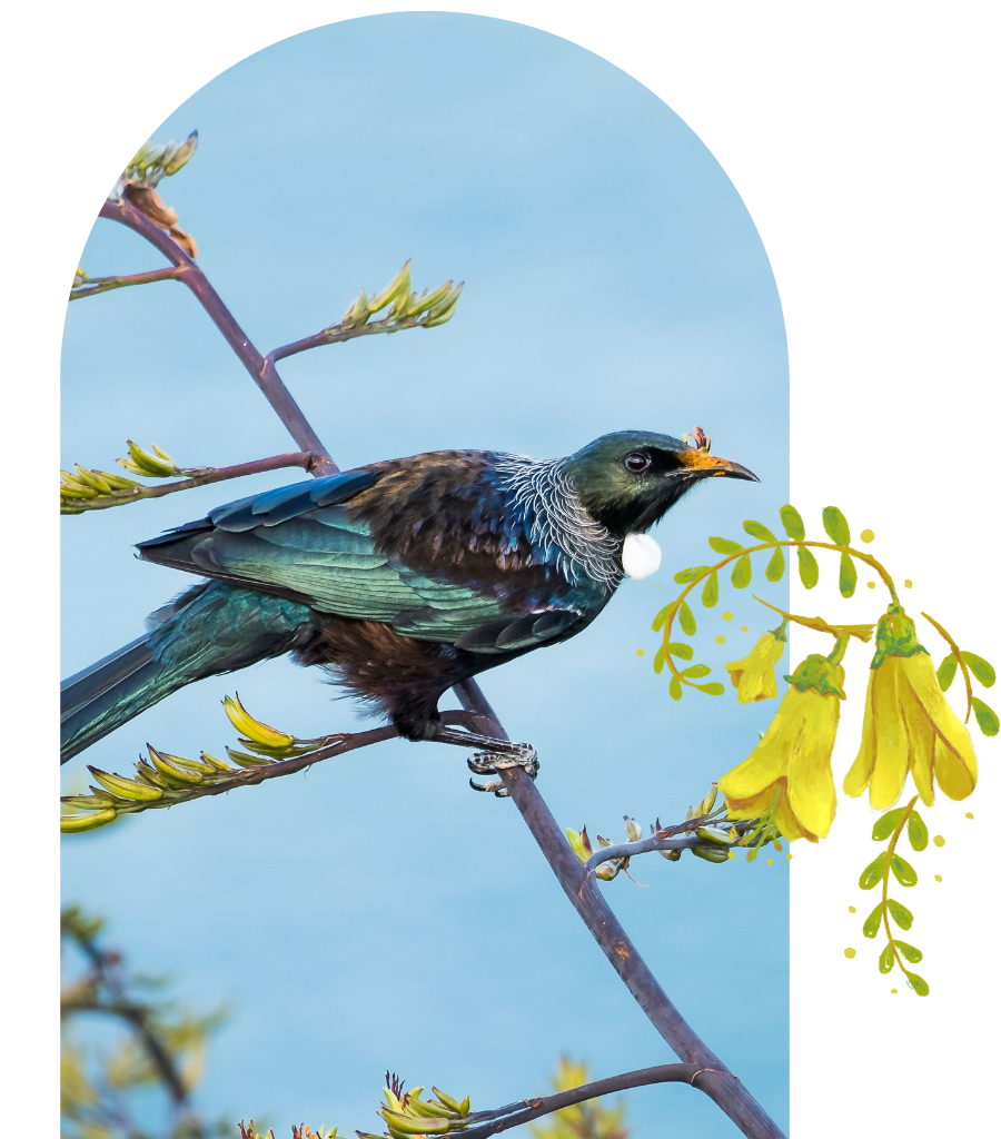 A bird with iridescent blue and green feathers, a black head with white streaks, perched on a branch with yellow flowers, against a light blue sky.
