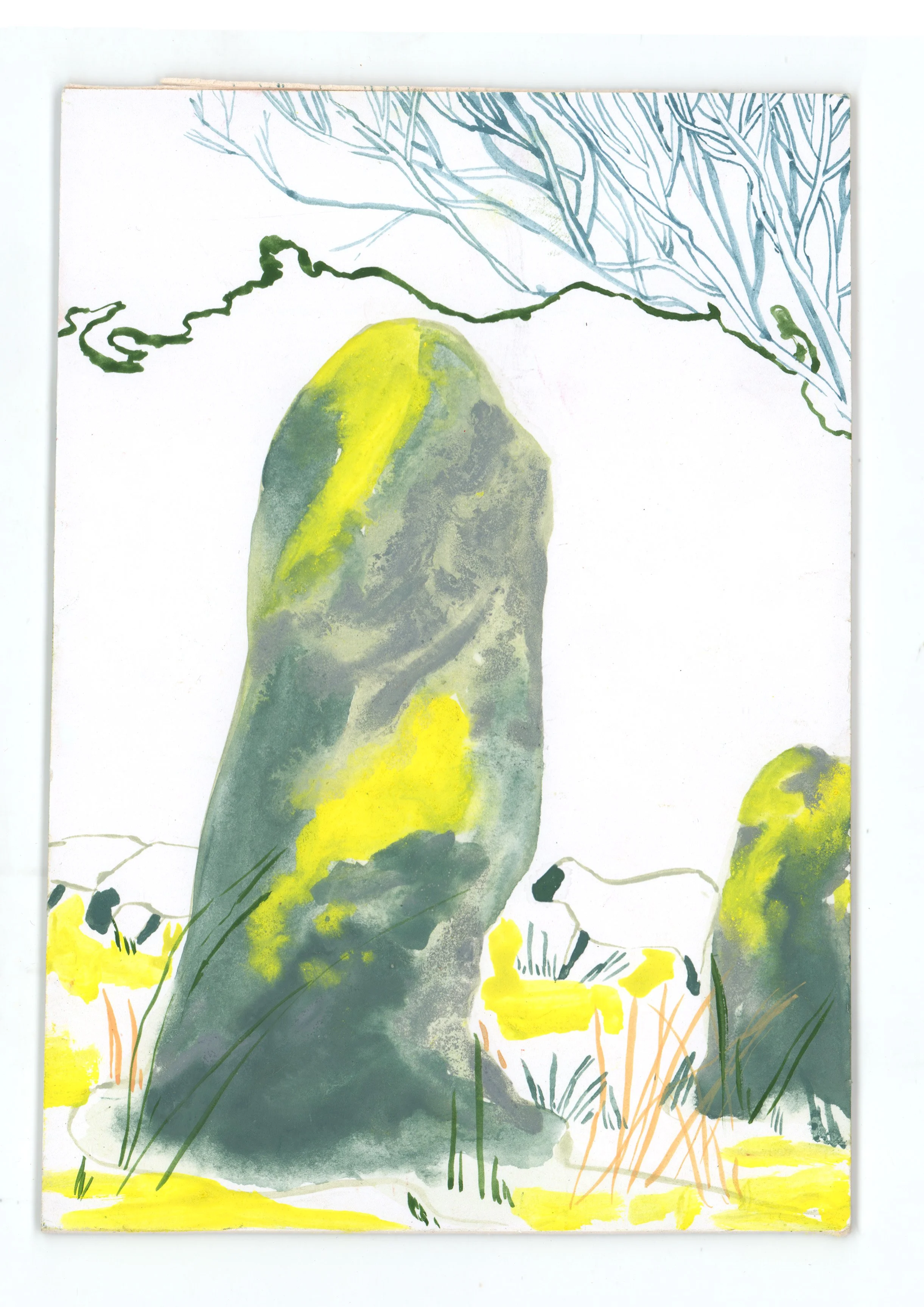 standing stone bog.jpg