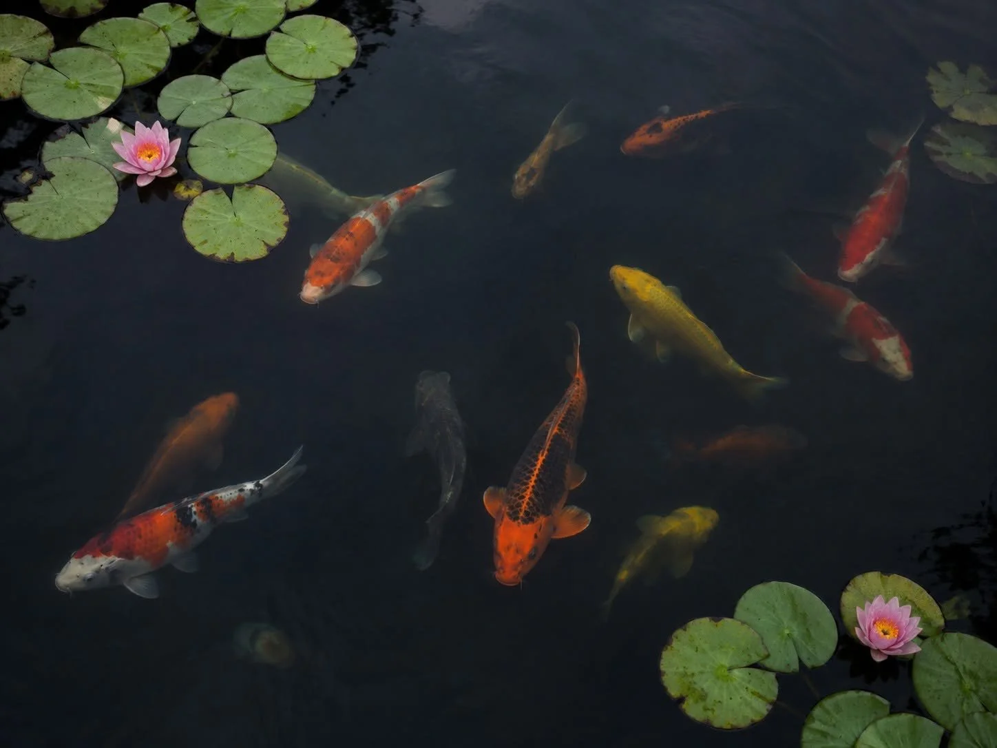 Den mystiske underbevidsthed