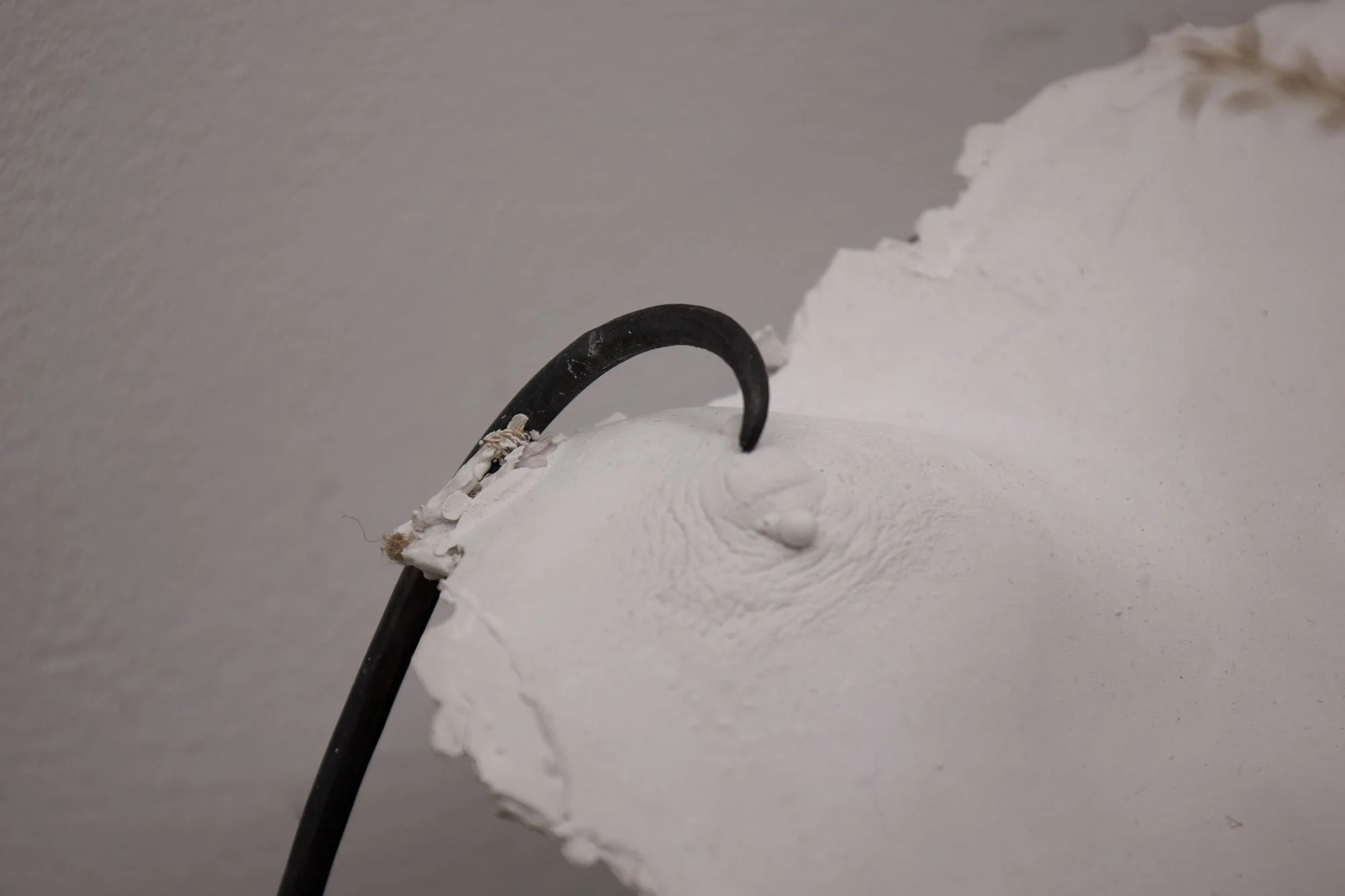 'A Means Of Meaning’ (2026) |  Plaster, steel, found rolling cart frame, dried plants  | 74 × 46 × 35cm