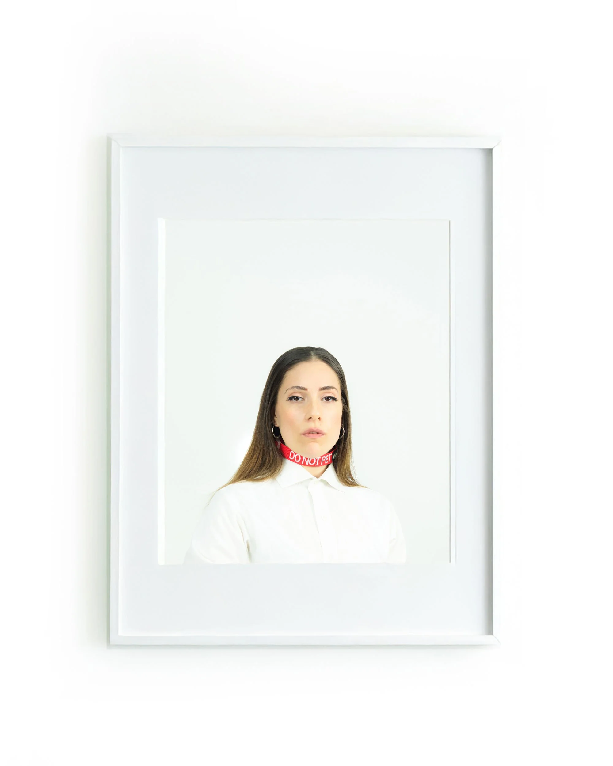 'Do Not Pet' (2026) | Digital print | 30 x 42cm