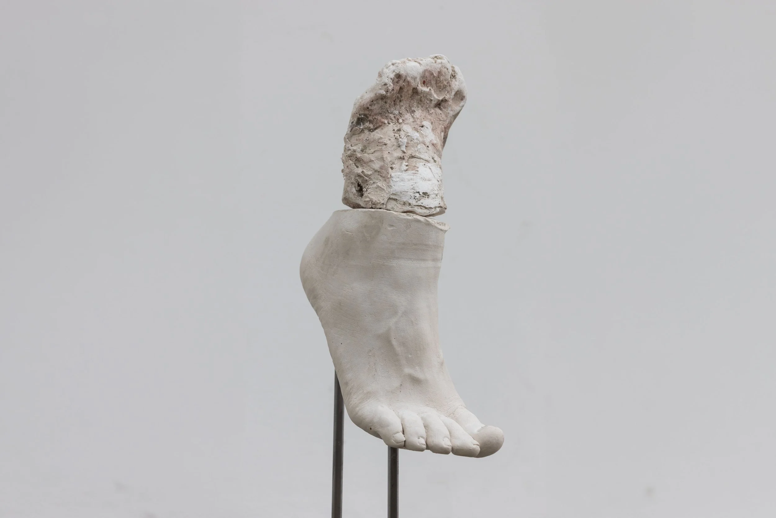 'That Which We Use To Move Through and Over' (2026) | Car suspension arms, silicone, steel, dried plants | 86 x 32 x 36cm